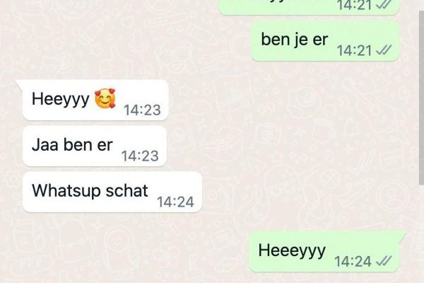 Dit is misschien wel de domste conversatie ooit via WhatsApp.